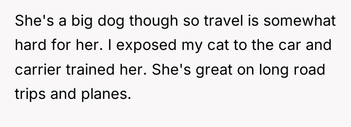 She's a big dog though so travel is somewhat hard...