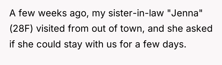 A few weeks ago, my sister-in-law "Jenna" (28F) visited from...