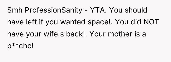 Smh ProfessionSanity - YTA. You should have left if you...