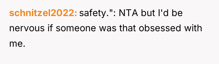schnitzel2022 safety.": NTA but I'd be nervous if someone was...