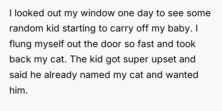 I looked out my window one day to see some...
