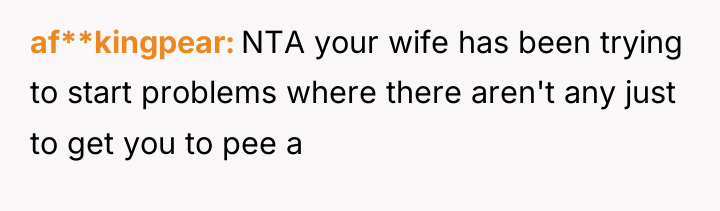 af**kingpear NTA your wife has been trying to start problems...