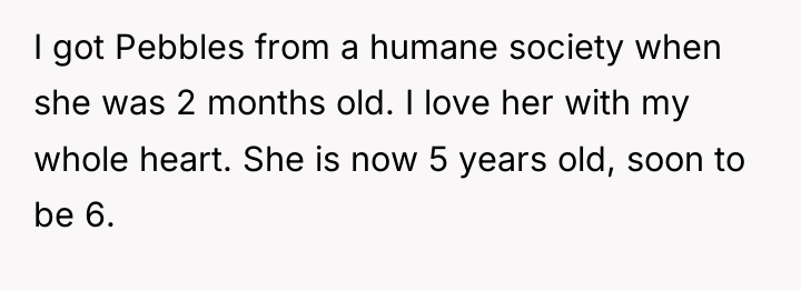 I got Pebbles from a humane society when she was...