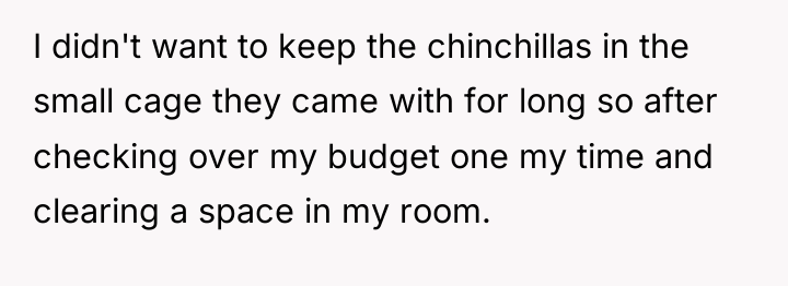 I didn't want to keep the chinchillas in the small...