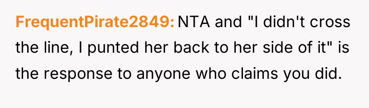 FrequentPirate2849 NTA and "I didn't cross the line, I punted...