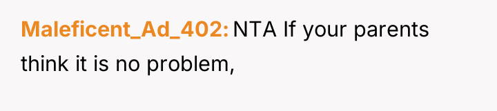Maleficent_Ad_402 NTA If your parents think it is no problem,