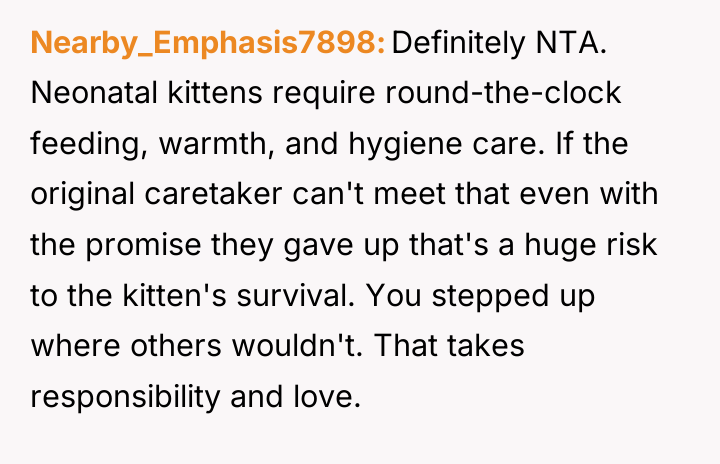 Nearby_Emphasis7898 Definitely NTA. Neonatal kittens require round-the-clock feeding, warmth, and...