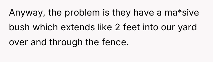 Anyway, the problem is they have a ma*sive bush which...