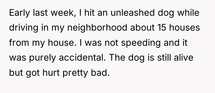Early last week, I hit an unleashed dog while driving...