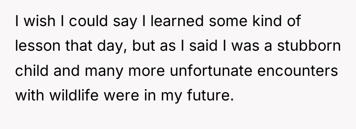 I wish I could say I learned some kind of...