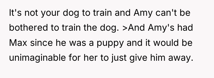 It's not your dog to train and Amy can't be...
