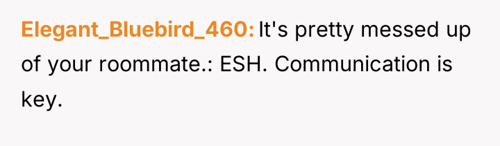 Elegant_Bluebird_460 It's pretty messed up of your roommate.: ESH. Communication...