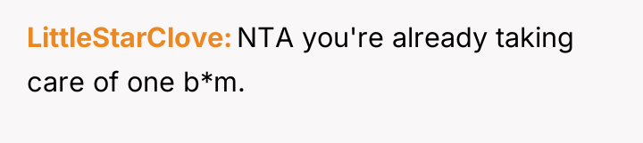 LittleStarClove NTA you're already taking care of one b*m.