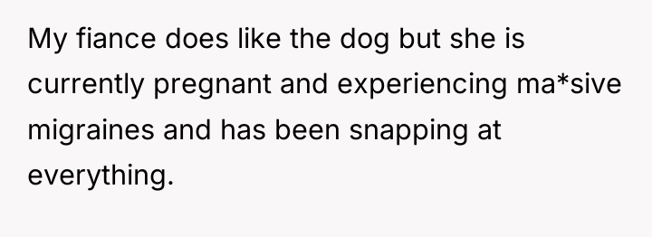 My fiance does like the dog but she is currently...