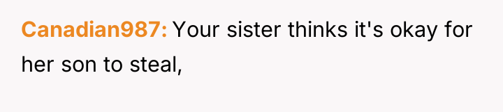 Canadian987 Your sister thinks it's okay for her son to...