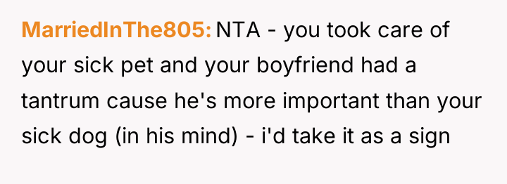 MarriedInThe805 NTA - you took care of your sick pet...