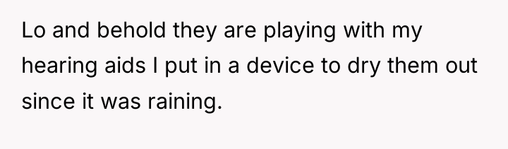 Lo and behold they are playing with my hearing aids...