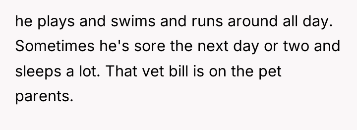 he plays and swims and runs around all day. Sometimes...