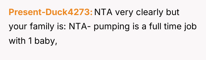 Present-Duck4273 NTA very clearly but your family is: NTA- pumping...