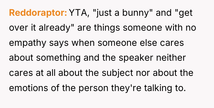 Reddoraptor YTA, "just a bunny" and "get over it already"...