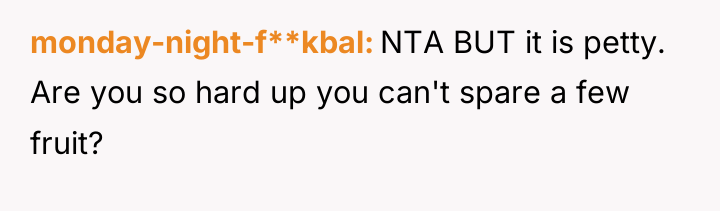 monday-night-f**kbal NTA BUT it is petty. Are you so hard...