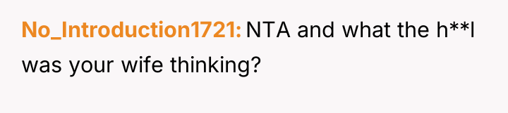 No_Introduction1721 NTA and what the h**l was your wife thinking?