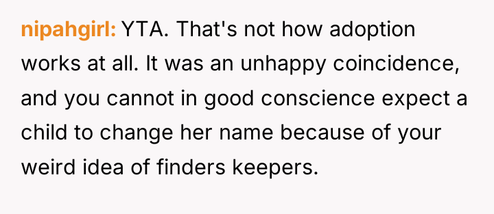 nipahgirl YTA. That's not how adoption works at all. It...