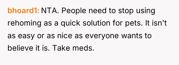 bhoard1 NTA. People need to stop using rehoming as a...