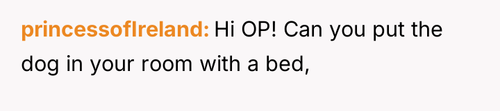 princessofIreland Hi OP! Can you put the dog in your...