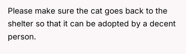 Please make sure the cat goes back to the shelter...