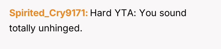 Spirited_Cry9171 Hard YTA: You sound totally unhinged.