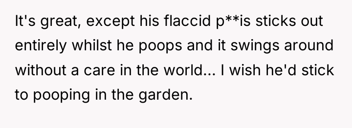 It's great, except his flaccid p**is sticks out entirely whilst...