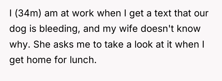 I (34m) am at work when I get a text...