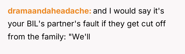 dramaandaheadache and I would say it's your BIL's partner's fault...