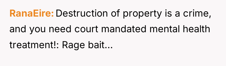 RanaEire Destruction of property is a crime, and you need...