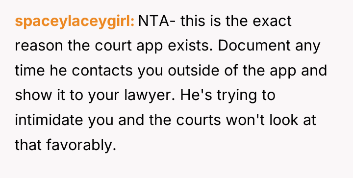 spaceylaceygirl NTA- this is the exact reason the court app...