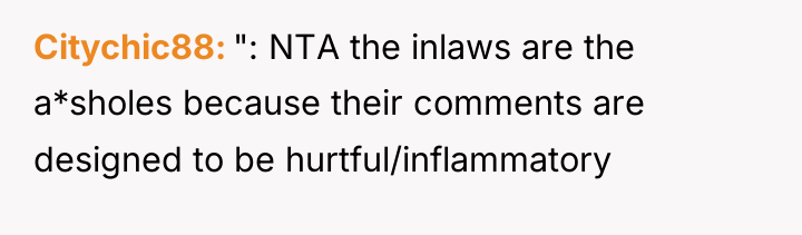 Citychic88 ": NTA the inlaws are the a*sholes because their...
