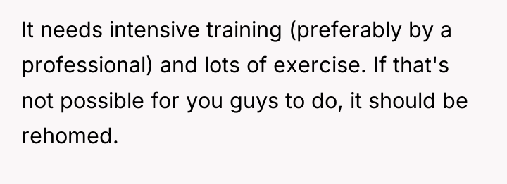 It needs intensive training (preferably by a professional) and lots...