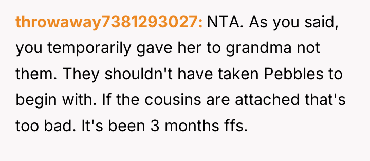 throwaway7381293027 NTA. As you said, you temporarily gave her to...