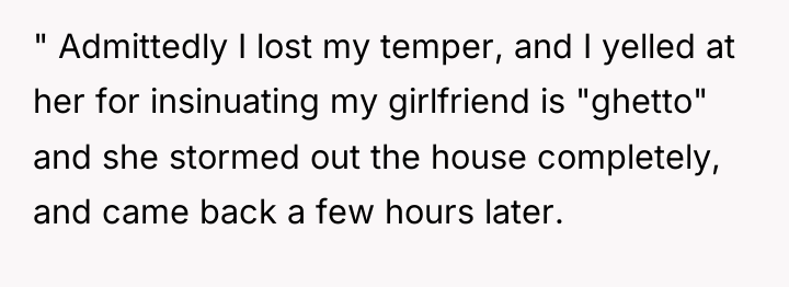 " Admittedly I lost my temper, and I yelled at...