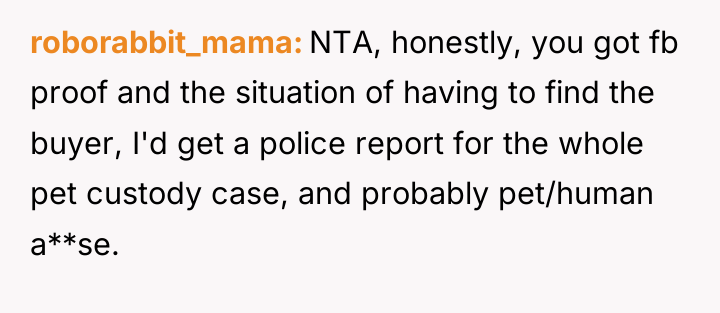 roborabbit_mama NTA, honestly, you got fb proof and the situation...