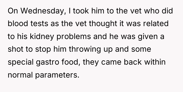 On Wednesday, I took him to the vet who did...