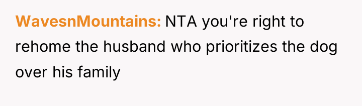 WavesnMountains NTA you're right to rehome the husband who prioritizes...