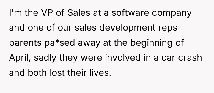 I'm the VP of Sales at a software company and...