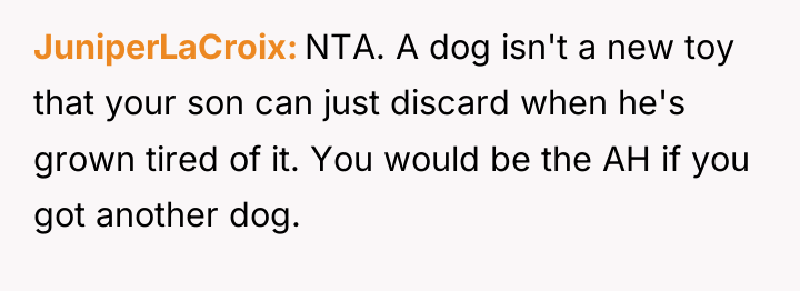JuniperLaCroix NTA. A dog isn't a new toy that your...