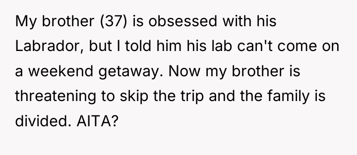 My brother (37) is obsessed with his Labrador, but I...