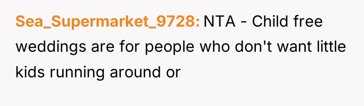 Sea_Supermarket_9728 NTA - Child free weddings are for people who...
