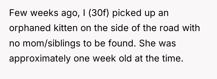 Few weeks ago, I (30f) picked up an orphaned kitten...
