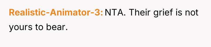 Realistic-Animator-3 NTA. Their grief is not yours to bear.