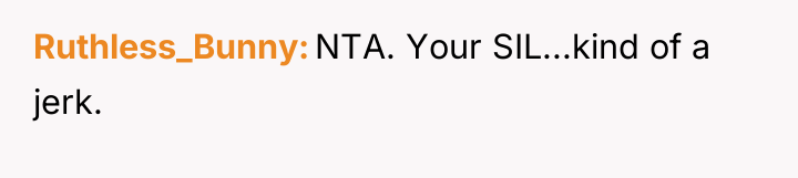 Ruthless_Bunny NTA. Your SIL...kind of a jerk.
